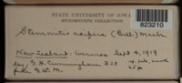 Image Associated With the Occurence